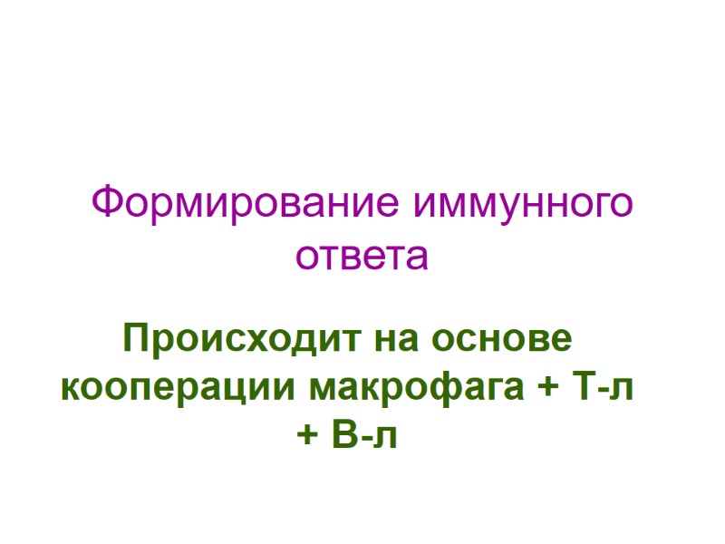 Формирование иммунного ответа Происходит на основе кооперации макрофага + Т-л + В-л